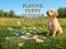 Žaidimas Playful Puppy Outdoor Puzzle internete