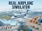 Žaidimas Real Airplane Simulator internete