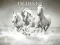 Žaidimas Horses Puzzle internete