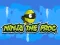 Žaidimas Ninja the Frog internete