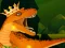Žaidimas The Dino King internete