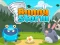 Žaidimas Bunny Storm internete