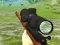 Žaidimas Hunter 3D internete