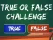 Žaidimas  True Or False Challenge internete