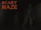 Žaidimas Scary Maze internete