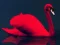 Žaidimas Love Birds Puzzle internete