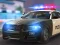 Žaidimas Police Car Simulator internete