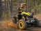 Žaidimas ATV Offroad Puzzle internete