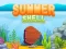 Žaidimas Summer Shell internete