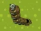 Žaidimas Zombie Worms internete