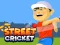 Žaidimas Street Cricket internete