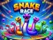 Žaidimas Snake Race internete
