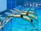 Žaidimas Swimming Pool Race internete