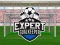 Žaidimas Expert Goalkeeper internete