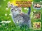 Žaidimas Kittens Jigsaw internete