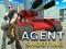 Žaidimas Agent Shooting internete