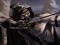 Žaidimas Shadow Archers internete