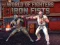 Žaidimas World Of Fighters: Iron Fists internete