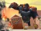 Žaidimas Angry City Smasher internete