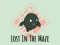Žaidimas Lost In The Maze internete