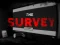 Žaidimas The Survey internete