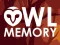 Žaidimas Owl Memory internete