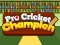 Žaidimas Pro Cricket Champion internete