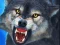 Žaidimas Sniper Wolf Hunter internete