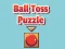 Žaidimas Ball Toss Puzzle internete