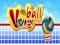 Žaidimas Volley Ball internete