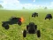 Žaidimas Buggy Simulator Sandbox 3D internete