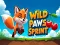 Žaidimas Wild Paws Sprint internete