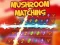Žaidimas Mushroom matching internete