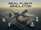 Žaidimas Real Flight Simulator internete