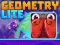 Žaidimas Geometry Lite internete