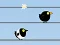 Žaidimas Gone with the Birds internete