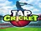 Žaidimas Tap Cricket internete