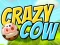 Žaidimas Crazy Cow internete