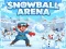 Žaidimas SnowBall Arena internete