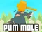Žaidimas Pum-Mole internete