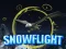 Žaidimas Snowflight internete