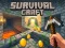 Žaidimas Survival Craft internete