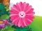 Žaidimas Funny Flowers Jigsaw internete