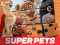 Žaidimas DC League of Super Pets Jigsaw Puzzle internete