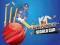 Žaidimas Cricket World Cup Game internete