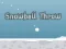 Žaidimas Snowball Throw internete