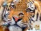 Žaidimas Jigsaw Puzzles Classic internete