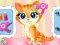 Žaidimas Pets Beauty Salon internete