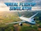 Žaidimas Real Flight Simulator internete