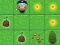 Žaidimas Magic Seeds internete